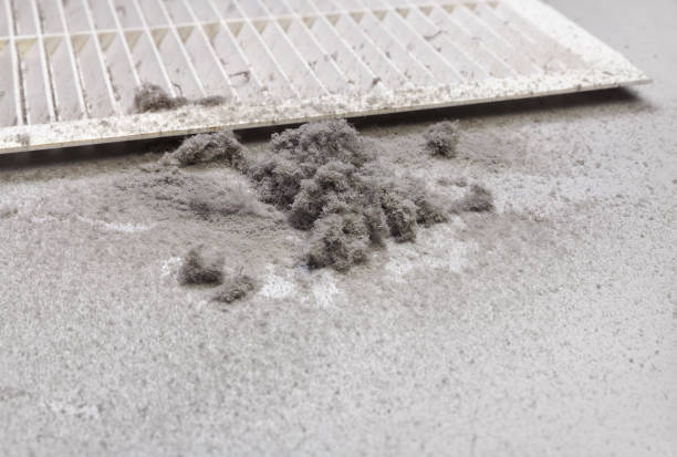 Best Affordable Duct Cleaning Services  in Superior, WI