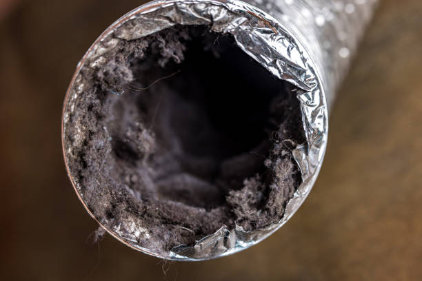 Best Residential Air Duct Cleaning  in Superior, WI